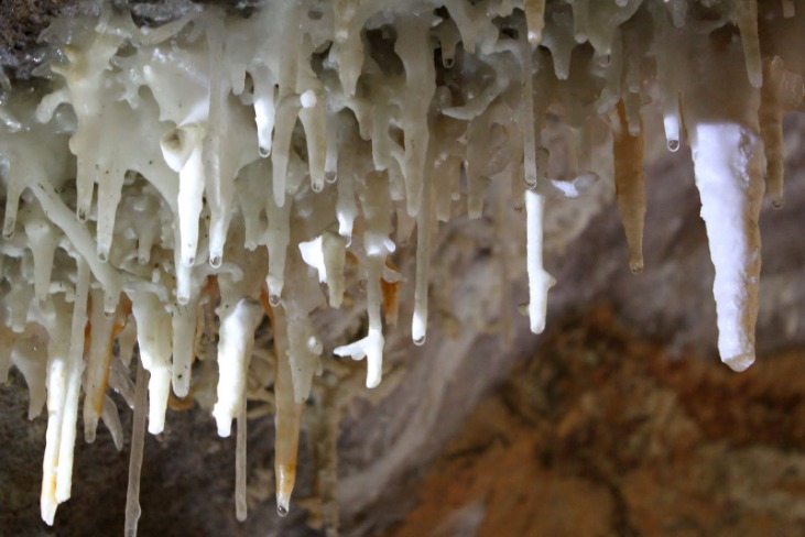 Jenolan Caves